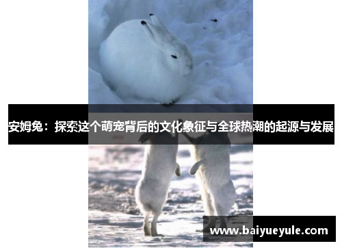 安姆兔：探索这个萌宠背后的文化象征与全球热潮的起源与发展