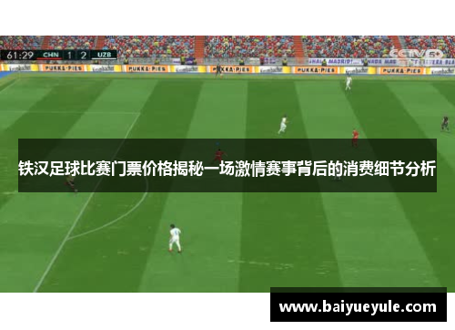铁汉足球比赛门票价格揭秘一场激情赛事背后的消费细节分析